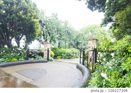 山手西洋館フランス山庭園の港の見える丘公園の春 山手西洋館フランス山庭園の港の見える丘公園の春 126227106