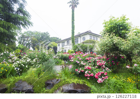 山手西洋館フランス山庭園の港の見える丘公園の春 山手西洋館フランス山庭園の港の見える丘公園の春 126227118