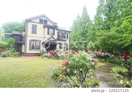 山手西洋館フランス山庭園の港の見える丘公園の春 山手西洋館フランス山庭園の港の見える丘公園の春 126227120