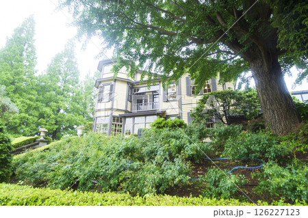 山手西洋館フランス山庭園の港の見える丘公園の春 山手西洋館フランス山庭園の港の見える丘公園の春 126227123