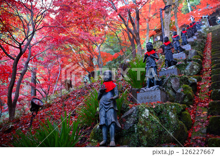 関東・紅葉の大山詣り・大山寺の名所、美しい紅葉のトンネルの階段と、両脇に立つ三十六童子(1) 関東・紅葉の大山詣り・大山寺の名所、美しい紅葉のトンネルの階段と、両脇に立つ三十六童子(1) 126227667