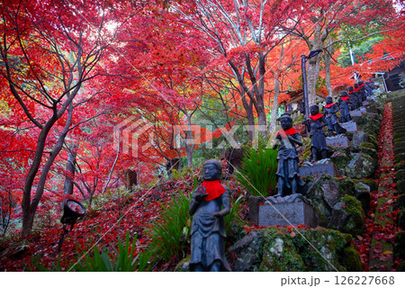関東・紅葉の大山詣り・大山寺の名所、美しい紅葉のトンネルの階段と、両脇に立つ三十六童子(2) 関東・紅葉の大山詣り・大山寺の名所、美しい紅葉のトンネルの階段と、両脇に立つ三十六童子(2) 126227668