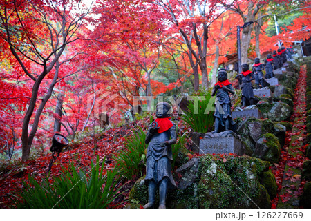 関東・紅葉の大山詣り・大山寺の名所、美しい紅葉のトンネルの階段と、両脇に立つ三十六童子(3) 126227669