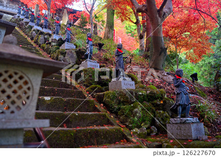 関東・紅葉の大山詣り・大山寺の名所、美しい紅葉のトンネルの階段と、両脇に立つ三十六童子(4) 126227670