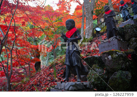 関東・紅葉の大山詣り・大山寺の名所、紅葉が映える階段と、両脇に立つ三十六童子・神奈川県伊勢原市(1) 関東・紅葉の大山詣り・大山寺の名所、紅葉が映える階段と、両脇に立つ三十六童子・神奈川県伊勢原市(1) 126227959