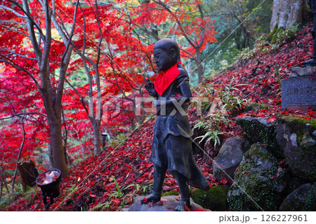 関東・紅葉の大山詣り・大山寺の名所、紅葉が映える階段と、両脇に立つ三十六童子・神奈川県伊勢原市(3) 関東・紅葉の大山詣り・大山寺の名所、紅葉が映える階段と、両脇に立つ三十六童子・神奈川県伊勢原市(3) 126227961