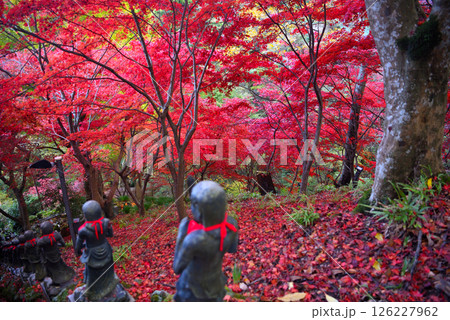 関東・紅葉の大山詣り・大山寺の名所、紅葉が映える階段周辺のイメージ・神奈川県伊勢原市(1) 関東・紅葉の大山詣り・大山寺の名所、紅葉が映える階段周辺のイメージ・神奈川県伊勢原市(1) 126227962