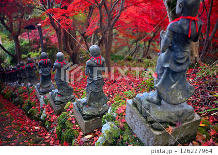 関東・紅葉の大山詣り・大山寺の名所、紅葉のトンネルの階段に立つ三十六童子・神奈川県伊勢原市(3) 関東・紅葉の大山詣り・大山寺の名所、紅葉のトンネルの階段に立つ三十六童子・神奈川県伊勢原市(3) 126227964