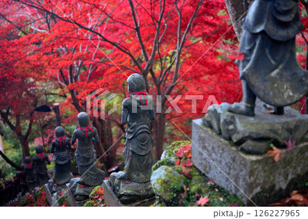 関東・紅葉の大山詣り・大山寺の名所、紅葉のトンネルの階段に立つ三十六童子・神奈川県伊勢原市(4) 126227965