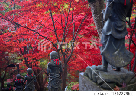 関東・紅葉の大山詣り・大山寺の名所、紅葉が映える階段周辺のイメージ・神奈川県伊勢原市(2) 関東・紅葉の大山詣り・大山寺の名所、紅葉が映える階段周辺のイメージ・神奈川県伊勢原市(2) 126227966
