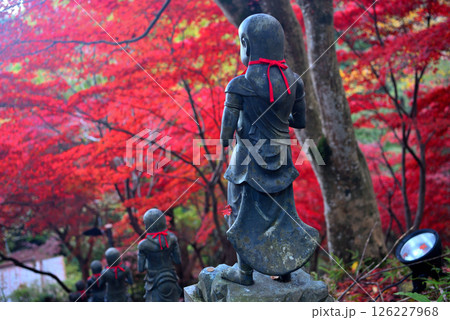 関東・紅葉の大山詣り・大山寺の名所、紅葉が映える階段の三十六童子のイメージ・神奈川県伊勢原市(2) 126227968
