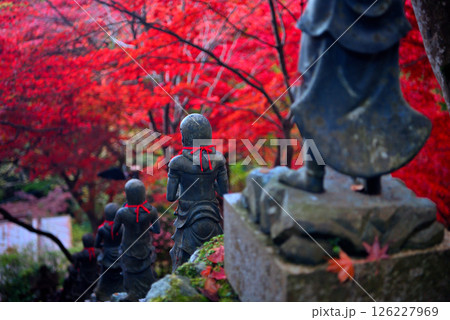 関東・紅葉の大山詣り・大山寺の名所、紅葉が映える階段の三十六童子のイメージ・神奈川県伊勢原市(3) 126227969