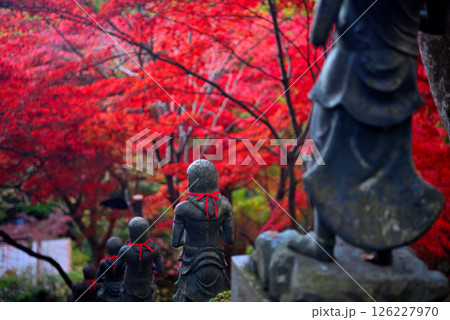 関東・紅葉の大山詣り・大山寺の名所、紅葉が映える階段の三十六童子のイメージ・神奈川県伊勢原市(4) 126227970