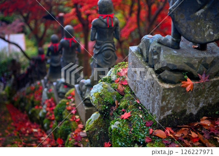 関東・紅葉の大山詣り・大山寺の名所、紅葉が映える階段の三十六童子のイメージ・神奈川県伊勢原市(5) 126227971