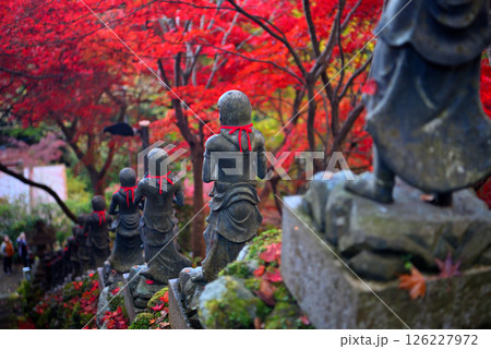 関東・紅葉の大山詣り・大山寺の名所、紅葉が映える階段の三十六童子のイメージ・神奈川県伊勢原市(6) 126227972