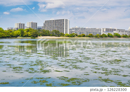 谷津干潟（千葉県習志野市） 126228300