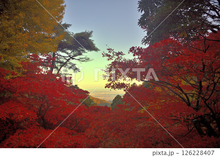 関東・紅葉の大山詣り・大山寺から紅葉越しに眺める相模湾、江ノ島方面の夕景・神奈川県伊勢原市(2) 126228407