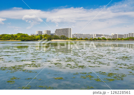 谷津干潟（千葉県習志野市） 126228561