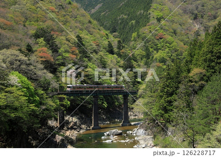 新緑の高山本線を走るキハ25普通列車 新緑の高山本線を走るキハ25普通列車 126228717