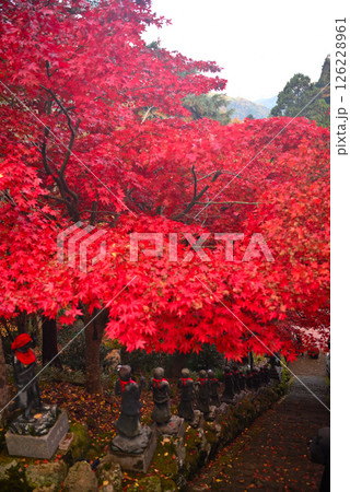 関東・紅葉の大山詣り・大山寺の名所、階段の両脇に立つ三十六童子と、赤いもみじ・神奈川県伊勢原市(2) 126228961