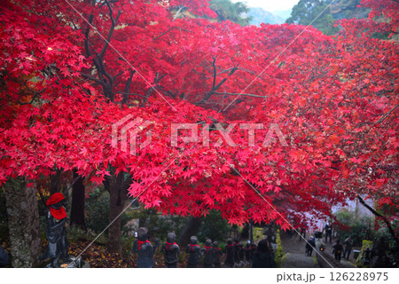関東・紅葉の大山詣り・大山寺の名所、三十六童子の階段と紅葉トンネルのイメージ・神奈川県伊勢原市(8) 126228975