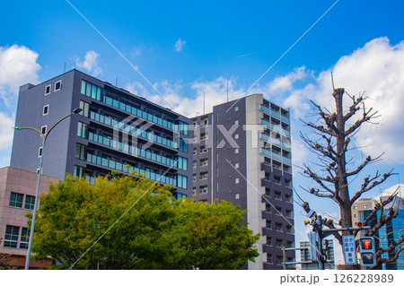 【京都風景】堀川通りの空とビル群 【京都風景】堀川通りの空とビル群 126228989