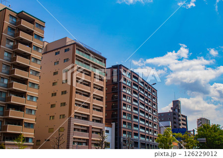 【京都風景】堀川通りの空とビル群 【京都風景】堀川通りの空とビル群 126229012