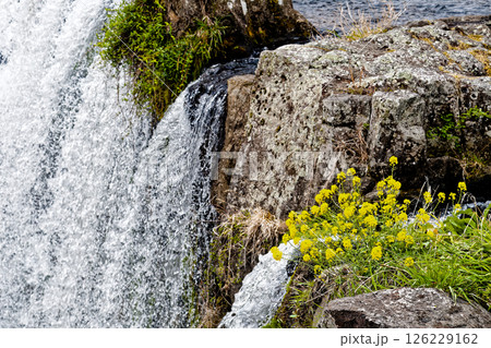 春の原尻の滝 春の原尻の滝 126229162