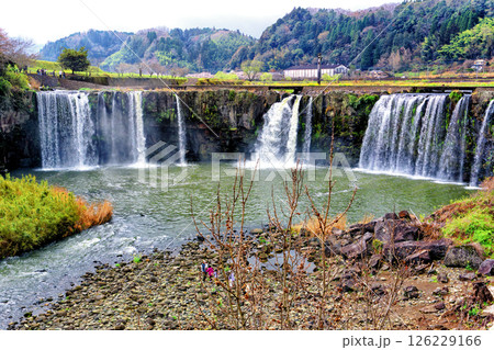 春の原尻の滝 126229166