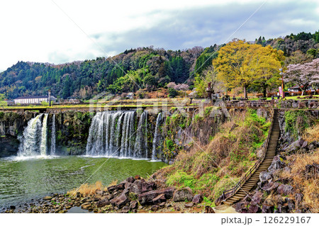 春の原尻の滝 春の原尻の滝 126229167
