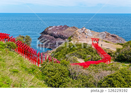 元乃隅神社 126229192