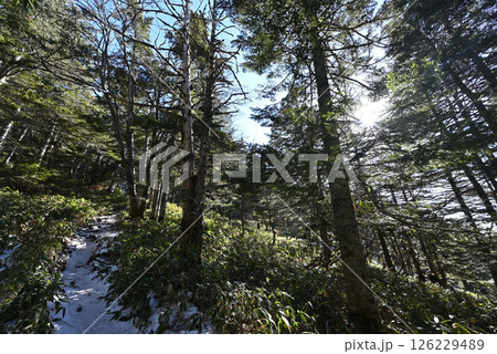 冬の黒斑山登山、浅間山、群馬県、長野県 冬の黒斑山登山、浅間山、群馬県、長野県 126229489
