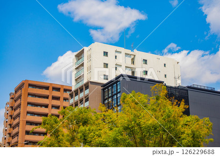 【京都風景】堀川通りの空とビル群 【京都風景】堀川通りの空とビル群 126229688