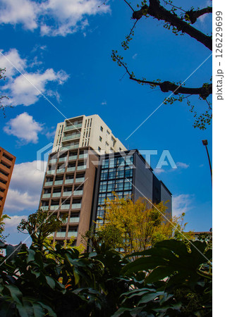 【京都風景】堀川通りの空とビル群 【京都風景】堀川通りの空とビル群 126229699