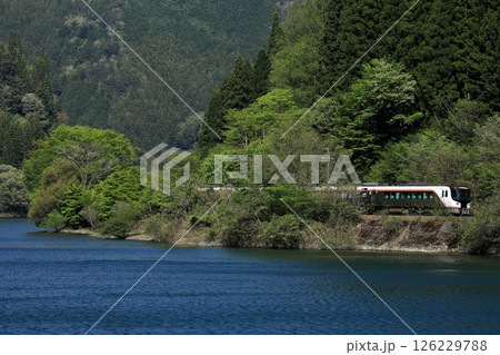 新緑の高山本線を走る特急ひだ 新緑の高山本線を走る特急ひだ 126229788