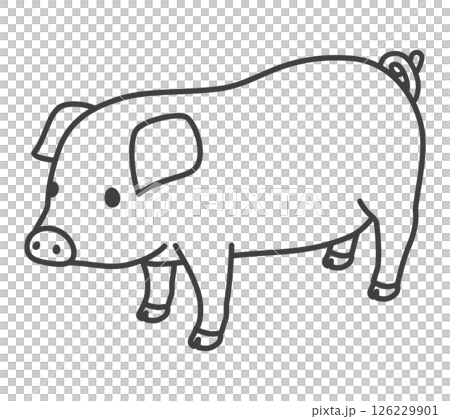 Pig  126229901