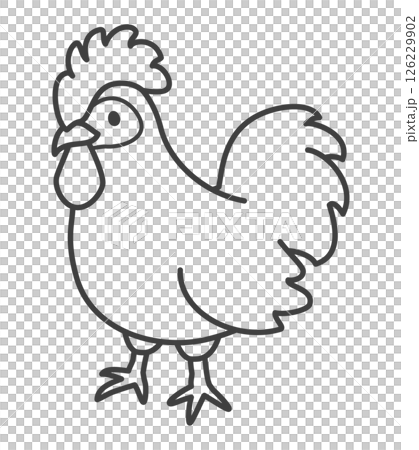 Chicken Chicken 126229902