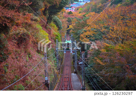 関東・大山詣り・大山寺駅から眺める、紅葉の中を進むケーブルカーのイメージ・神奈川県伊勢原市(3) 126230297