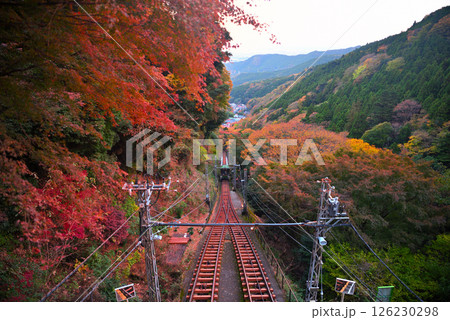 関東・大山詣り・大山寺駅から眺める、紅葉の中を進むケーブルカーのイメージ・神奈川県伊勢原市(4) 126230298