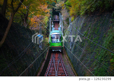 関東・大山詣り・大山寺駅から眺める、紅葉の中を進むケーブルカーのイメージ・神奈川県伊勢原市(5) 126230299
