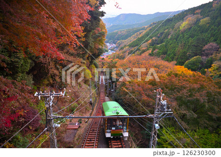 関東・大山詣り・大山寺駅から眺める、紅葉の中を進むケーブルカーのイメージ・神奈川県伊勢原市(6) 関東・大山詣り・大山寺駅から眺める、紅葉の中を進むケーブルカーのイメージ・神奈川県伊勢原市(6) 126230300
