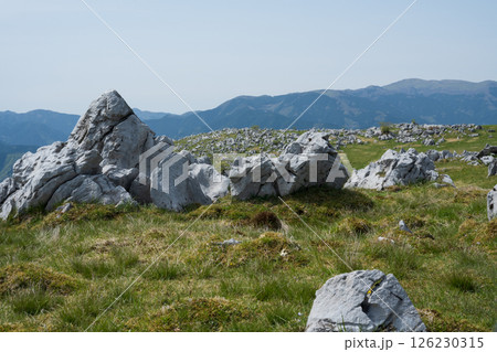 四国カルスト、高知、愛媛 126230315