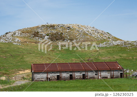 四国カルスト、高知、愛媛 126230325