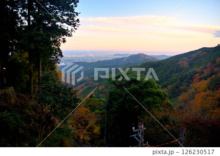 関東・紅葉の大山詣り・大山阿夫利神社駅から眺める相模湾、江ノ島方面の夕景・神奈川県伊勢原市(3) 126230517