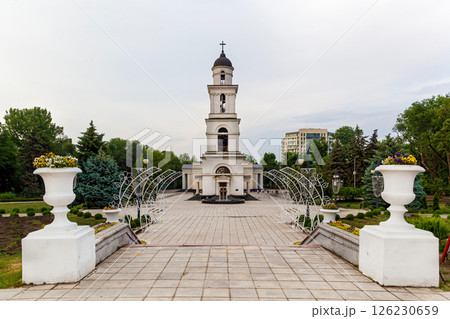 Cathedral bell tower in city park setting 126230659