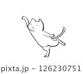 背伸びする猫 126230751