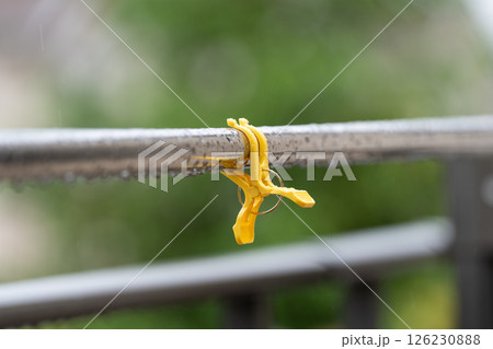 雨の日の洗濯ポールと洗濯ばさみ 雨の日の洗濯ポールと洗濯ばさみ 126230888