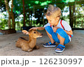 Portrait of little caucasian child feeding and petting deer fawn at outdoor park background. 126230997