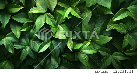 Tropical green leaves background 126231311