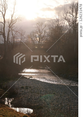 Stream of water flows through a forest 126231478